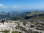 tomir-12