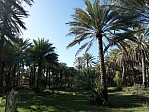 33-al-hamra