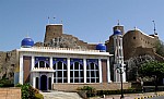 04-muscat