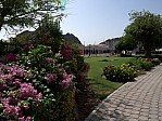 06-muscat