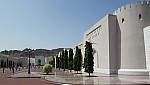 10-muscat