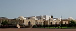 11-muscat