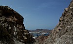 14-muscat