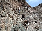 18-muscat-wanderung