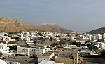 20-muscat