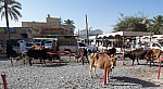 03-nizwa-souk