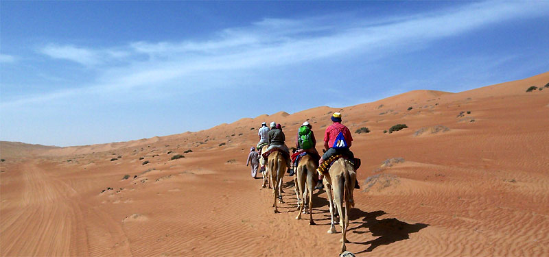auf Kamelen durch die Wüste