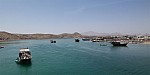 07-sur