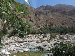10-wadi-tiwi