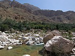 11-wadi-tiwi
