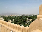 11-nakhal
