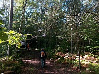 07-altweibersommer