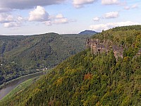 12-rosenkamm