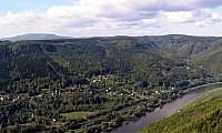 13-rosenkamm