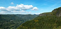 14-rosenkamm