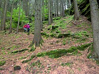 23-abstieg-duerrkamnitzgrund
