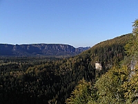 05-grossstein