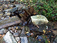 31-ottendorfer-steig