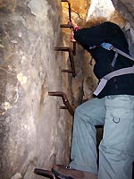 Bilder vom Neuen Wildenstein