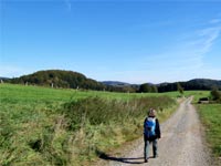 aus dem Kirnitzschtal zur&uuml;ck nach Ottendorf