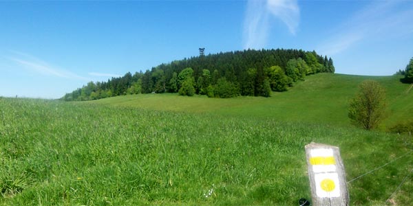 Weifberg mit Aussichtsturm