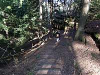 05-bars-grund