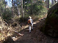 Bildergalerie