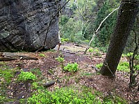 01-zugang-domstiege