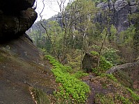 05-domstiege