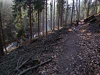 17-holzeinschlag-spanghorn